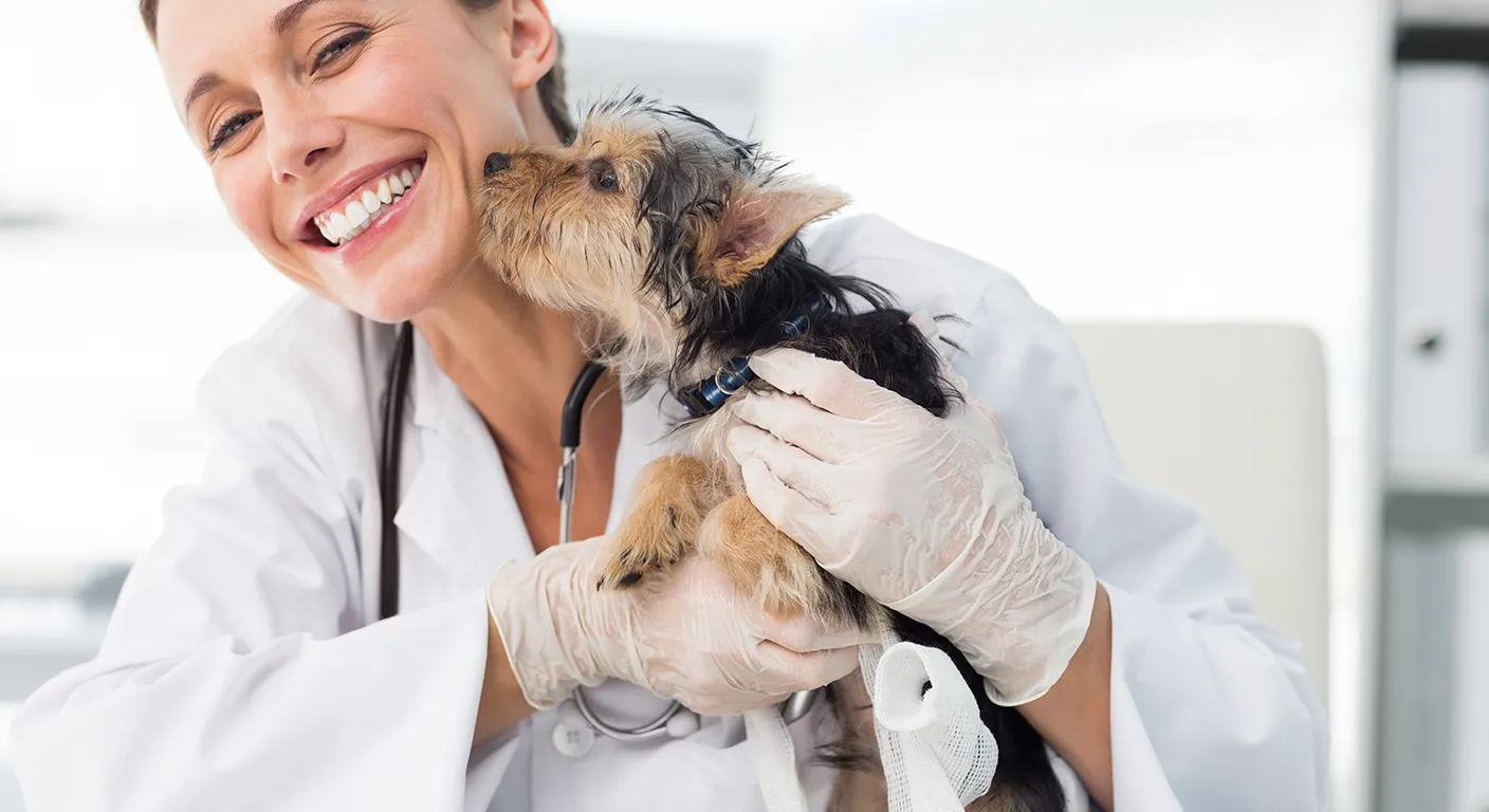 Your First Vet Visit at Oasis Pet Clinic in Fullerton
